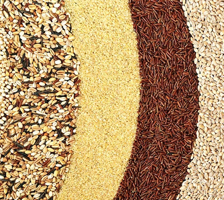 Grain