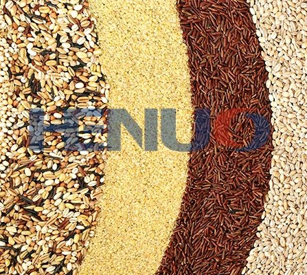 Grain