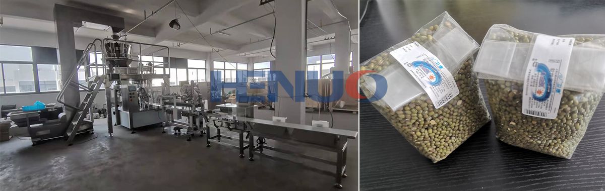 New Rotary Packing Machine for Premade Gusset Pouch with Folding and Labeling Device